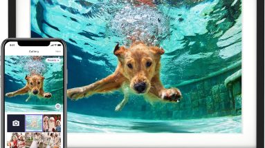 Capture and Share Memories: Review of the 10.1'' Digital Picture Frame